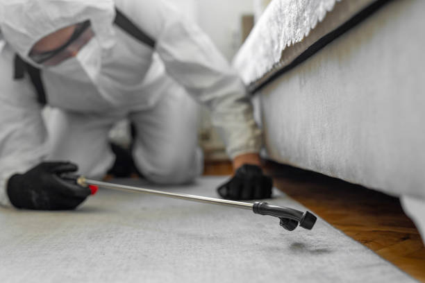 Professional Bed Bug Control technician working in Barbour County County, WV